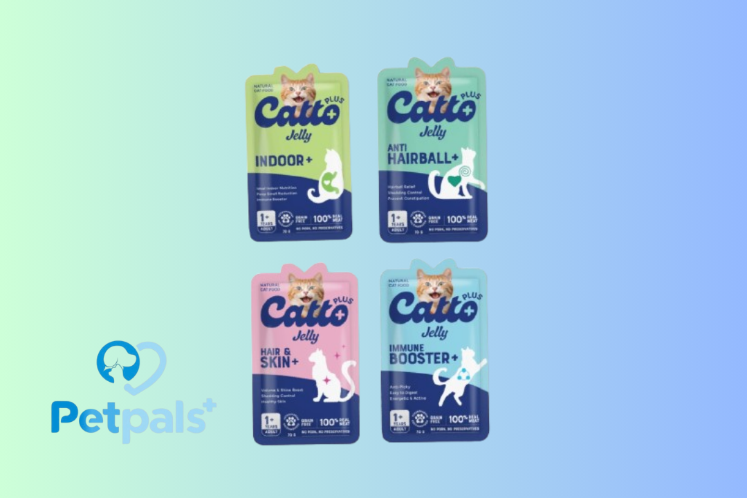 Catto Plus Jelly 70gr